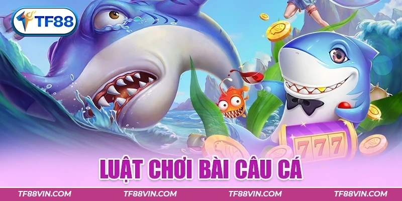 luật chơi bài câu cá