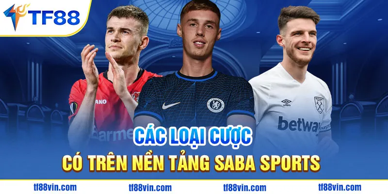 Các loại cược có trên nền tảng SaBa Sports