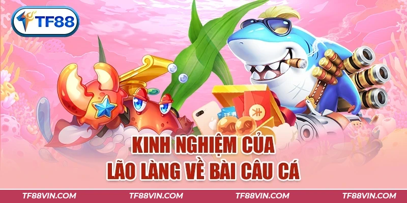 Kinh nghiệm của lão làng về bài câu cá